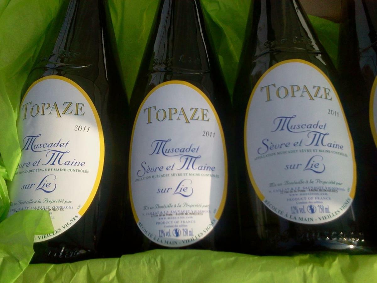 Topaze Sejour Chez Le Vigneron Monnieres  外观 照片
